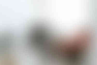 Ensaio gestante lifestyle minimalista em casa.