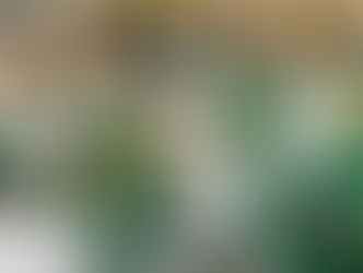 American Athletic Conference Breakdown - Charlotte