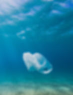 Floating Plastic Bag_edited_edited.jpg