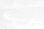 white_00114.jpg