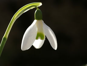 09.03.2021 Portaltag