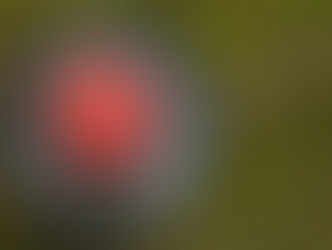 12.10.2020 Portaltag