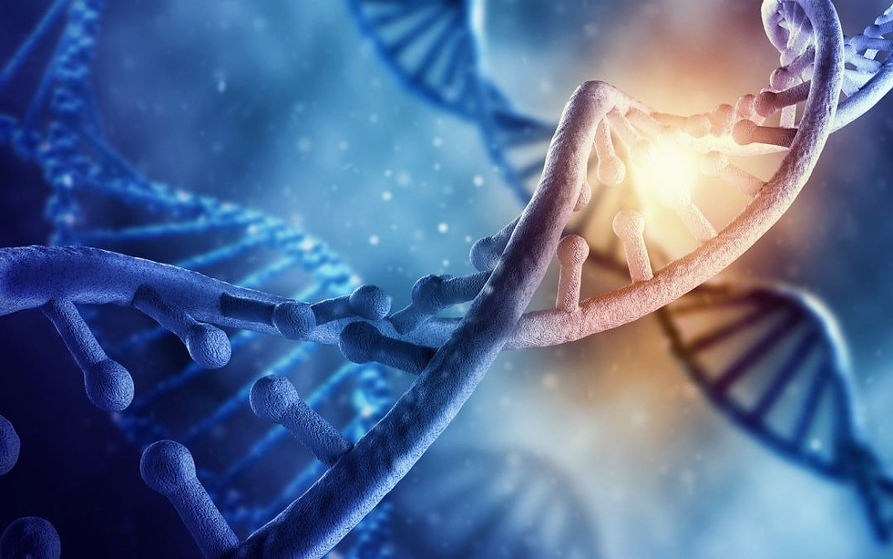 DNA Aktivierung Portaltage.png