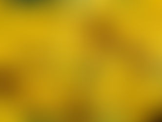 13.09.2020 Tagesenergien- Portaltag