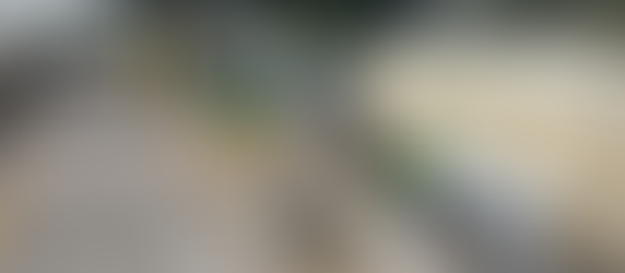 Please Don't Shoot Us!!