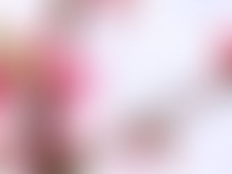 【2018/3/24】アーユルヴェーダ春分WS開催「アーユルヴェーダのちっちゃなお話会~春からの過ごし方~」