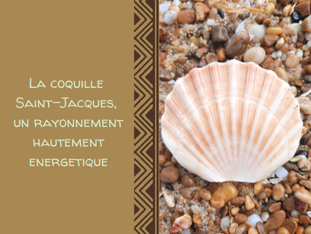 LA COQUILLE SAINT-JACQUES