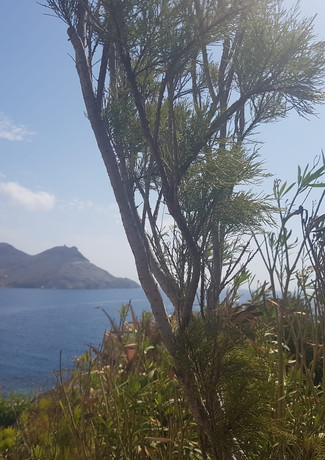 La Playa de Genoveses es la más extensa del Parque natural, con una longitud de más de 1 k