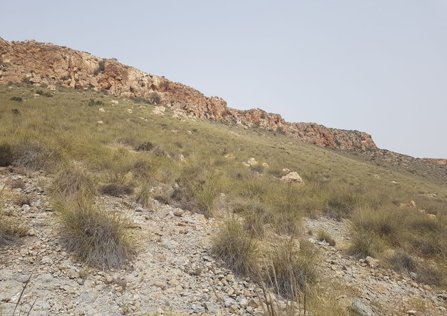 el Hoyazo de Níjar, también conocido como Volcán de la Granatilla, se trata de un cráter erosionado de un antiguo volcán submarino (toda esta zona estaba cubierta por el mar) y cuando el volcán se extinguió se formó en su perímetro un arrecife de coral.
