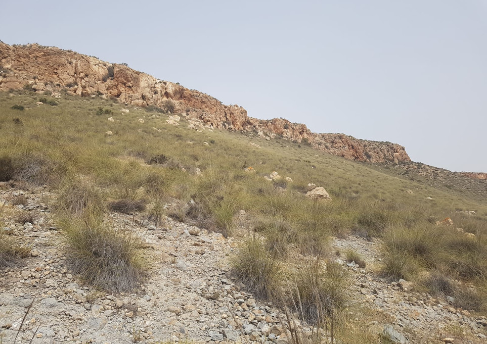 el Hoyazo de Níjar, también conocido como Volcán de la Granatilla, se trata de un cráter erosionado de un antiguo volcán submarino (toda esta zona estaba cubierta por el mar) y cuando el volcán se extinguió se formó en su perímetro un arrecife de coral.