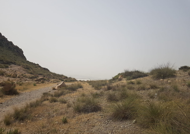 el Hoyazo de Níjar, también conocido como Volcán de la Granatilla, se trata de un cráter erosionado de un antiguo volcán submarino (toda esta zona estaba cubierta por el mar) y cuando el volcán se extinguió se formó en su perímetro un arrecife de coral.
