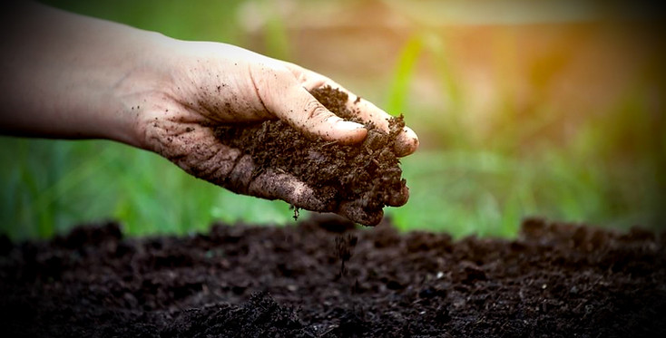 soil_edited.jpg