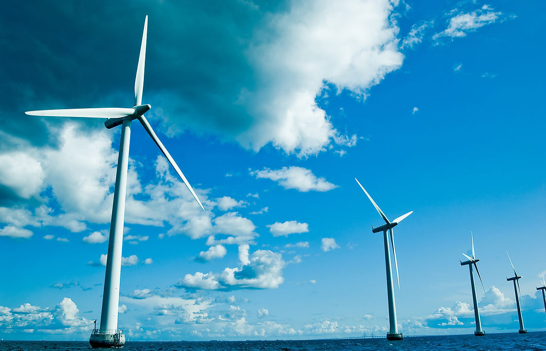 WMS-bild-windmills-park-frog-1920x1280.jpeg