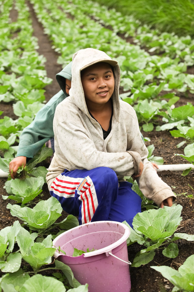 Joven trabajando en el campo