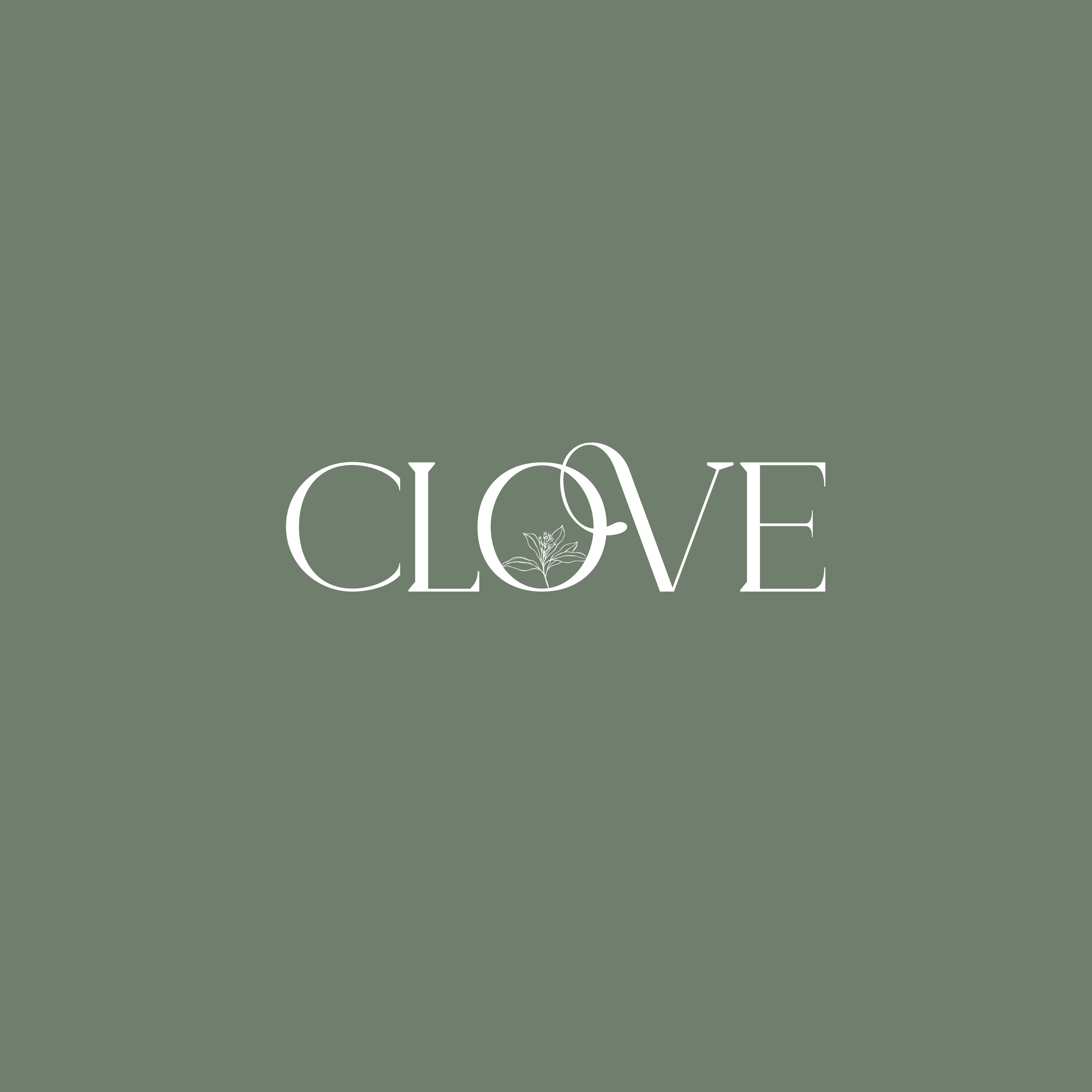 Clove (Halal)