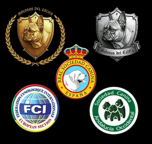 WhatsApp Image 2026-01-04 at 10.30.57.jpeg