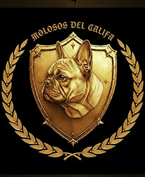 WhatsApp Image 2026-01-03 at 10.28.37.jpeg