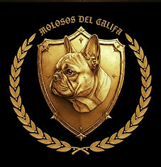 WhatsApp Image 2026-01-03 at 10.28.37.jpeg