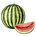 plant based