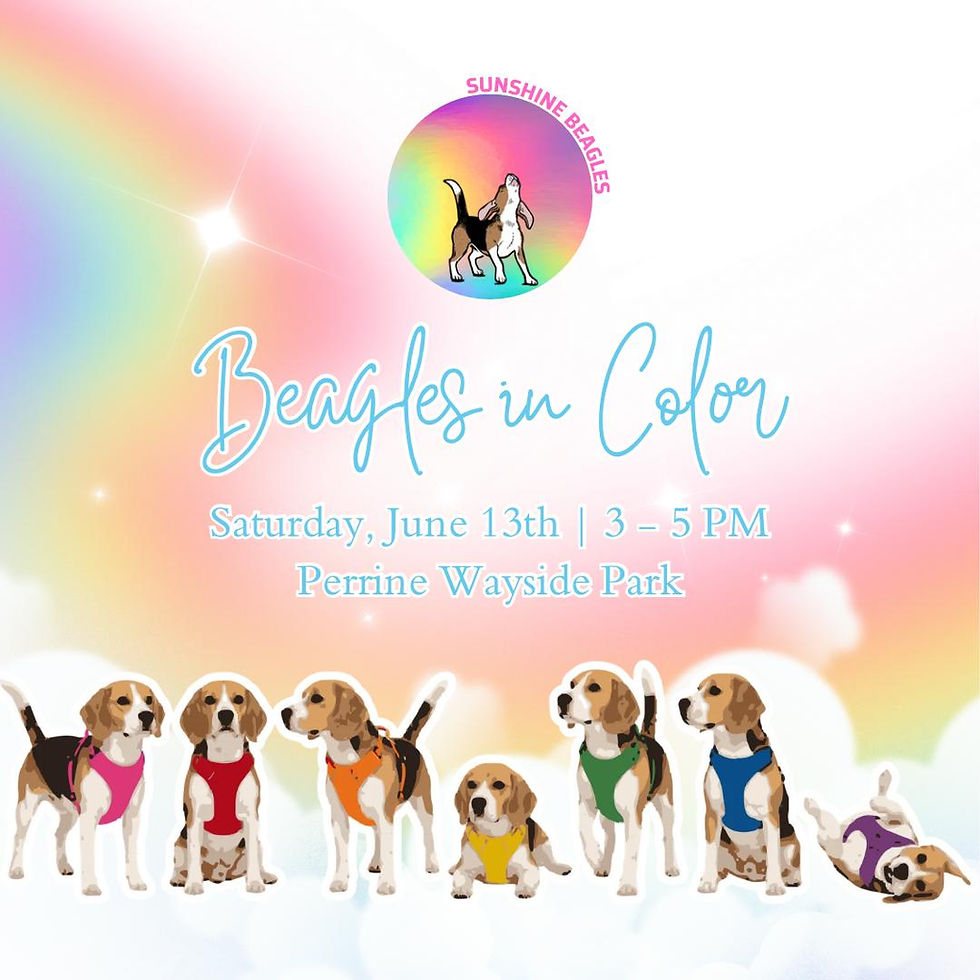 Beagles in Color