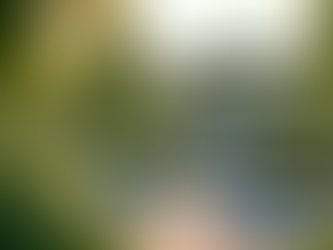 Sustainable EV Charging: Ugather's Vision for the Future