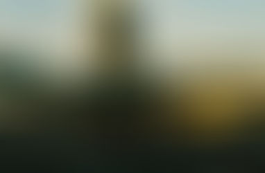 To Withdraw or Not to Withdraw?
