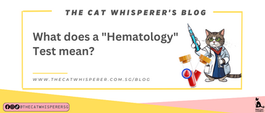 Hematology Test for Pets