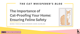 The Importance of Cat-Proofing Your Home