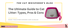 The Ultimate Guide to Cat Litter: Types, Pros, and Cons