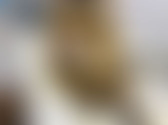 My cat has an upcoming vet visit / test. How do I prepare for it? 