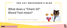 What does a Chem 10 Blood Test mean?