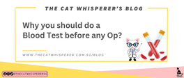 Why you should do a Blood Test before any Op?