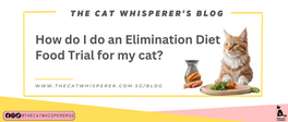 How do I do an Elimination Diet Food Trial for my cat?