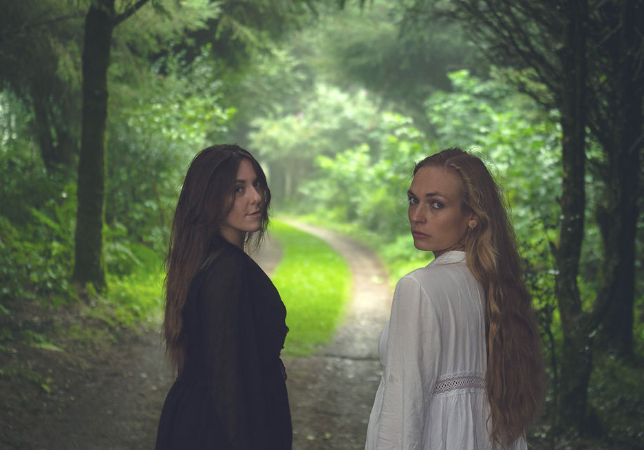 True Foxes Landscape 2025e.jpg