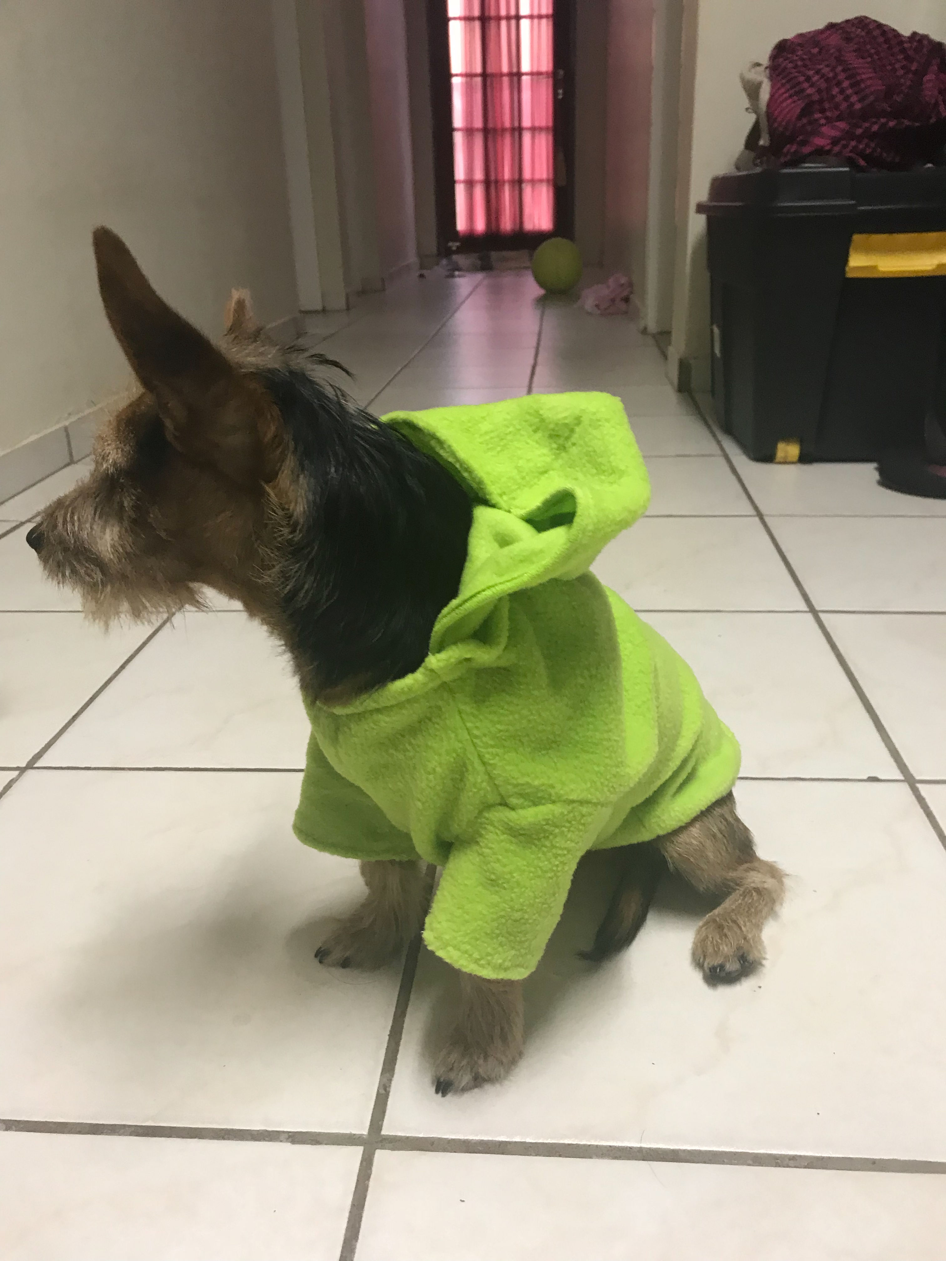 Fleece Hoodie