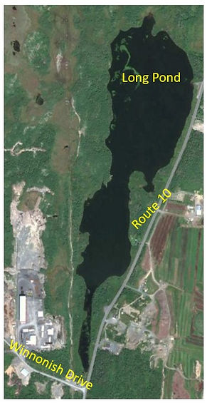 Long Pond Trail .jpg
