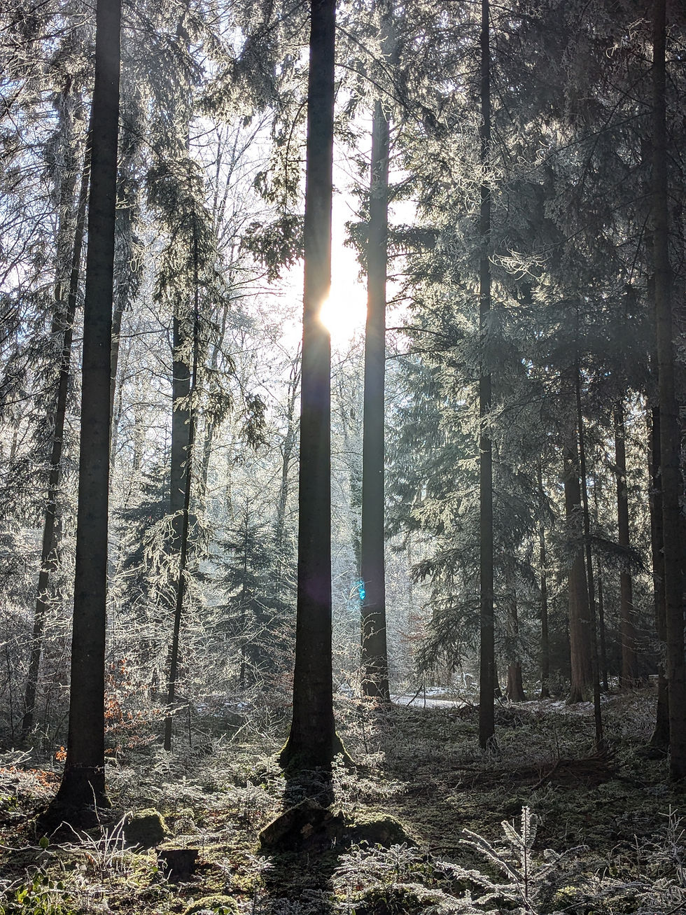 Alles ist Teil unserer Geschichte. Das Leben wartet nicht, bis wir geheilt sind. Und das ist auch gut so.