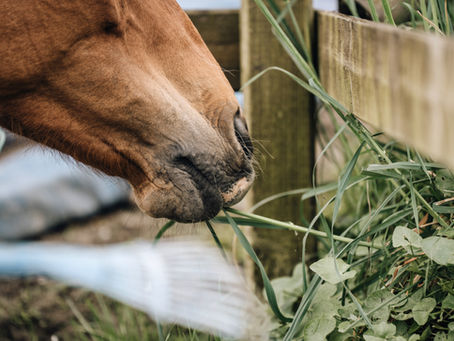 Unsere Nerven – die unterschätzten Verbündeten