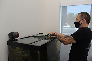Fresh water aquarium maintenance