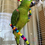 Thumbnail: Bird Rainbow Bead Toy