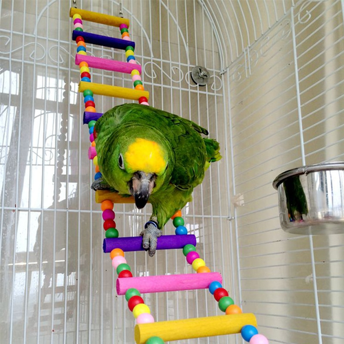 Thumbnail: Bird Ladder