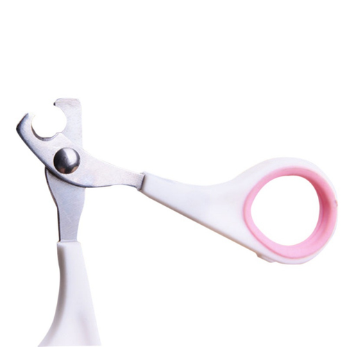 Thumbnail: Nail Trimmers