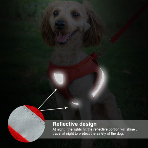 Thumbnail: Cat Harness and Leash