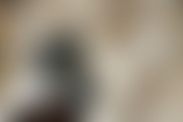 การรักษา FIP ในประเทศไทย: จัดส่งเร็ว ปรึกษาฟรี และอัตราความสำเร็จสูง