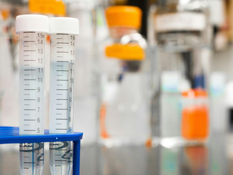 GS-441524 for Treating FIP in Cats