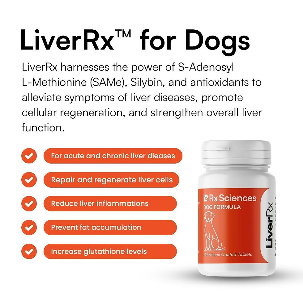 Thumbnail: LiverRx - Advanced Liver Protection for Medium and Large Dogs