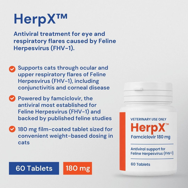HerpX™ - 180 mg Famciclovir, antivirale Therapie bei Felinem Herpesvirus (FHV-1)