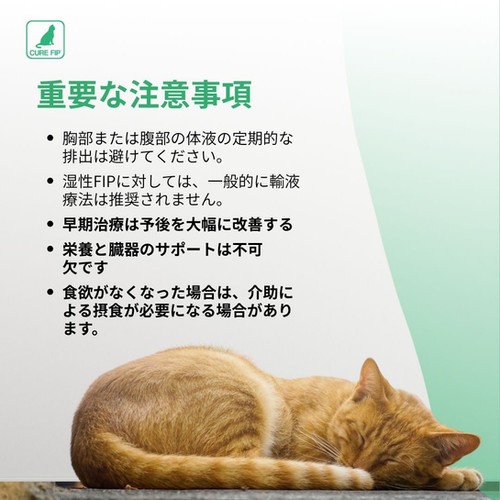 CureFIP™ 経口カプセル｜猫FIP治療 ダブル抗ウイルス配合（GS-441524 +