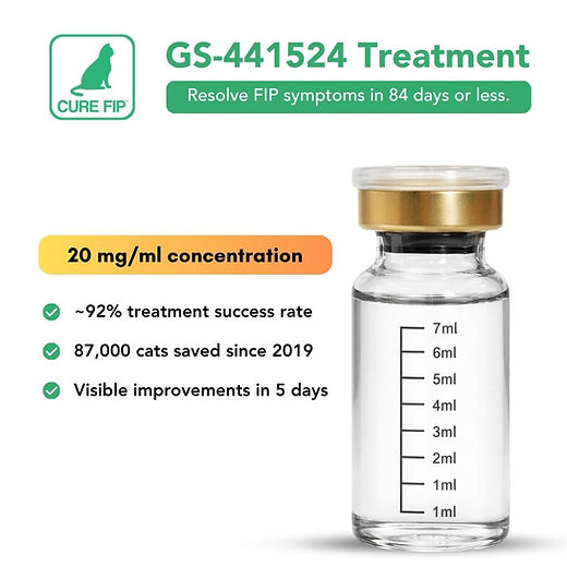 b12 injections mthfr Why B12 Injections Should you get B12 shots if you have MTHFR?