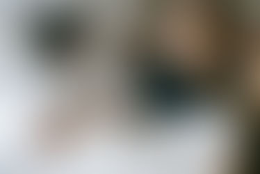 3 Virus Berbahaya yang Bisa Menyerang Kucing Tanpa Gejala Awal Jelas